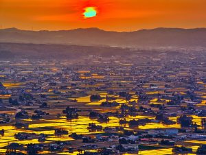 となみ麦酒_散居村