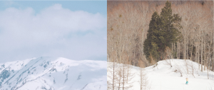 hakubacraft_top