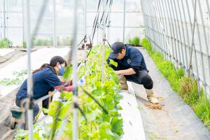 HIROSHIMANOHBREWERY-畑