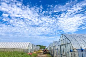 Farmer’s Brewery 穂波_景色