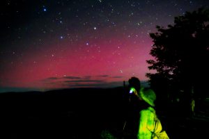 しもかわ森のブルワリー_星空