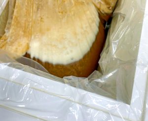 石見麦酒-石見式