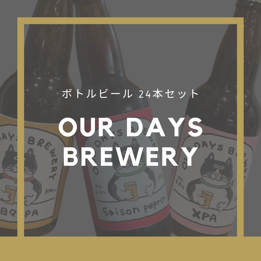 OUR DAYs BREWERY ボトルビール3種類 x 2本　飲み比べセット