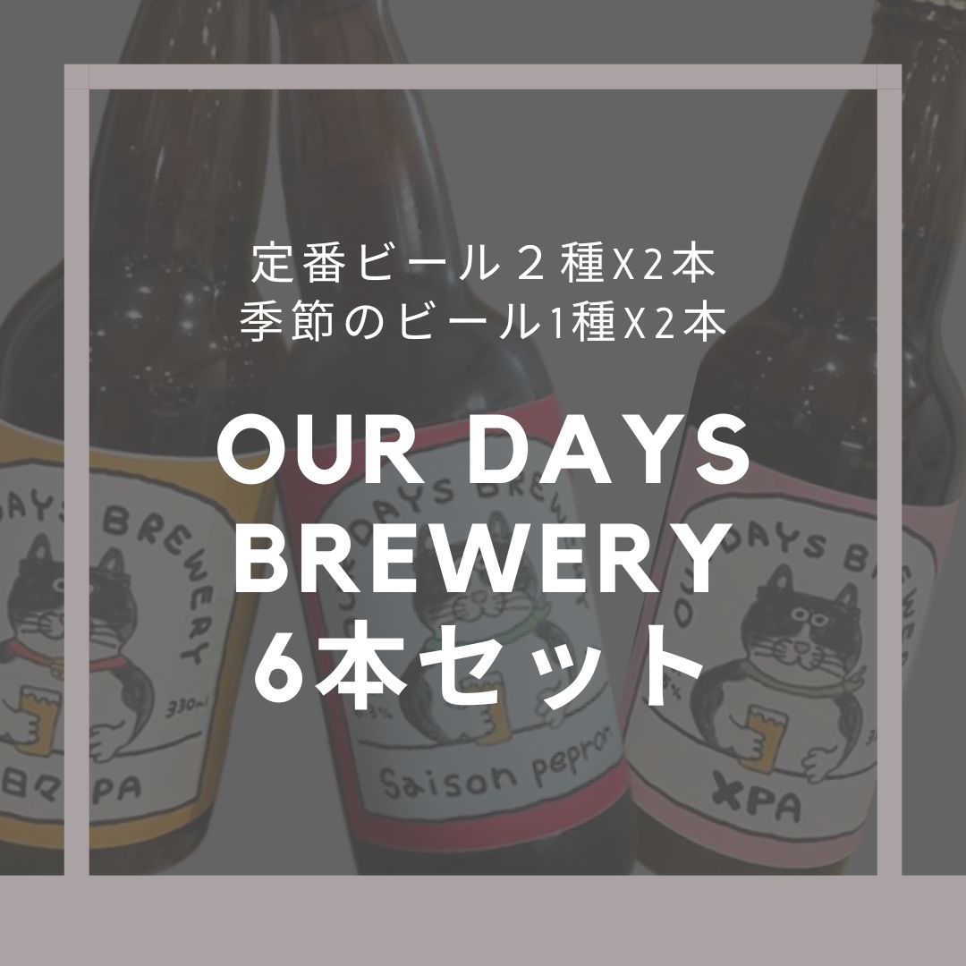 OUR DAYs BREWERY ボトルビール3種類 x 2本　飲み比べセット